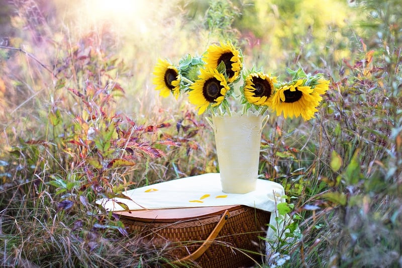 Ladder Plant Stand